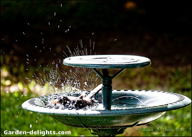  Double tier basin, fiberglass, concrete birdbath with birds splash in a garden setting, heated birdbath fountains, dream garden with birdbath, birdbath features, garden birds, ties solar birdbath, birdbath gardens.