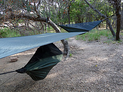 Camping hammocks,Outdoor Hammocks,Camping hammocks hanging in the trees.