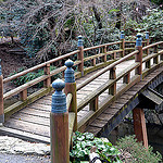 Garden bridges, landscaped bridges, arched garden bridges, Japanese bridges, rope bridges, pond bridges.