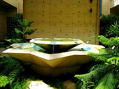Large two-tier star shaped water fountain surrounded by ferns, interior water fountains, decorative interior water fountains.