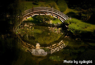 Japanese arched bridge with reflection in water showing a circular shape surrounded by bonsai types of trees. Iarden bridges, landscaped bridges.