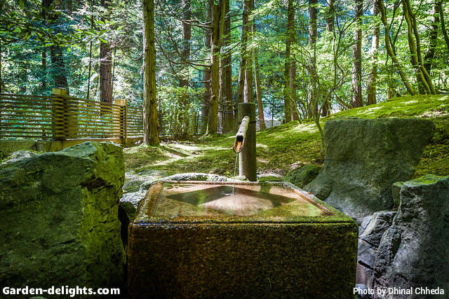  Japanese water feature inside the little Valley surrounded by trees along a fence with bamboo reed pouring water into its smooth Clearwater feng shui water bowl with green moss around all the edges, Japanese dream garden water fountain, bamboo water fountains, dear chaser water fountains, Home Depot water fountain, tropical Japanese water features. Beautiful little secret Garden getaway allowing you to connect with your inner thoughts and reconnecting with your physical and spiritual well-being.