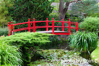 Red bridge with wooden plank floor spanning over top of water pond, red garden bridge, decorative backyard bridges.