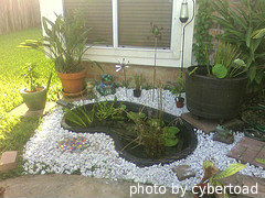 Small preformed/rigid pond kit with white gravel around and plants inside with potted flower plants surrounding. Areformed pond kits, decorative ponds.