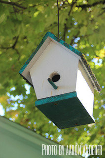 White birdhouse with green roof and bottom close-up in tree, cute white birdhouse, country style birdhouse.