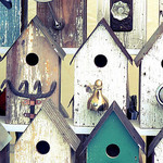 Wood Bird Houses, wooden birdhouses, decorative birdhouses, wooden birdhouses to paint, wholesale birdhouses, whimsical birdhouses.