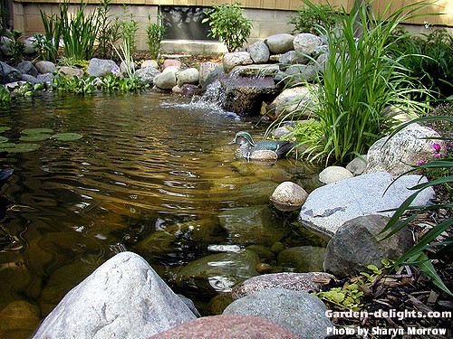 Building A Backyard Pond Design Size Pond Building Garden Delighs Com