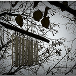 Feng shui wind chimes, wind chimes