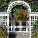 Garden arbors, metal arbors, wooden arbors, vinyl arbors, garden arbors with benches, entrance arbor.