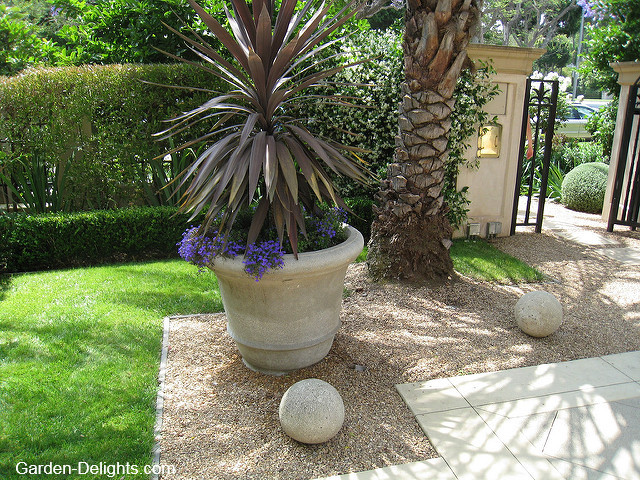 large leafed plant in cement pot on gravel landscape, inorganic