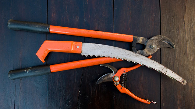 Tree razor saw with pruners and long handle branch cutters with orange handles, garden tools list, equipment used in gardening.