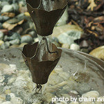 Rain chains, decorative rain chains, brass rain chains, aluminum rain chains, copper, stainless steel, garden ornaments.