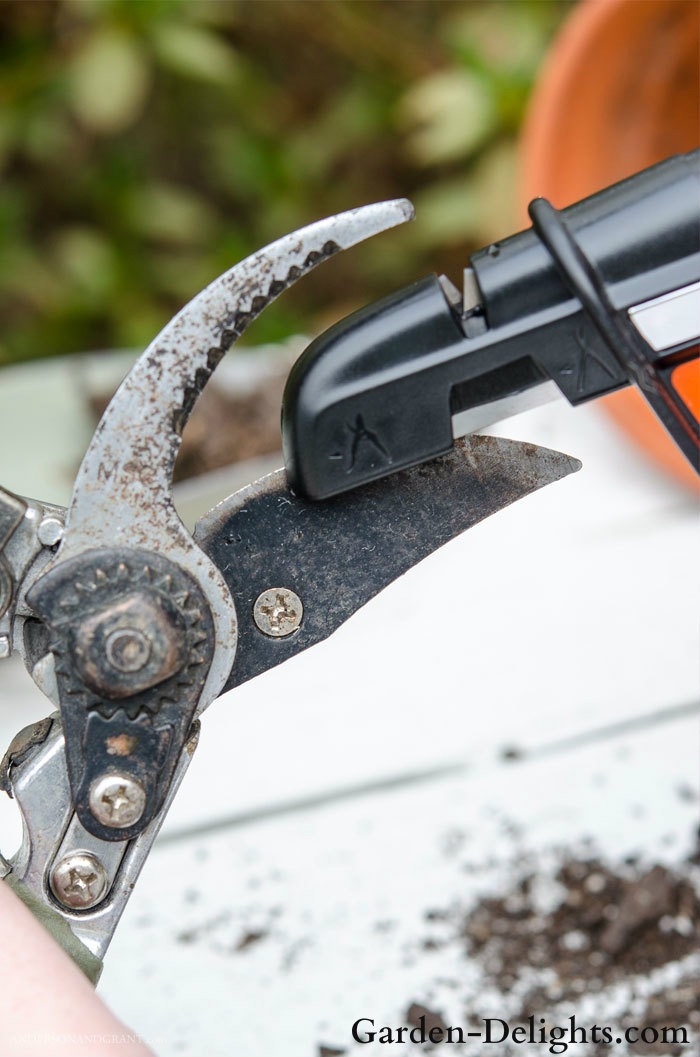 Shears for branches being sharpened with a handheld blade sharpener, lawn mower blade sharpener, sharpening tools for garden equipment.