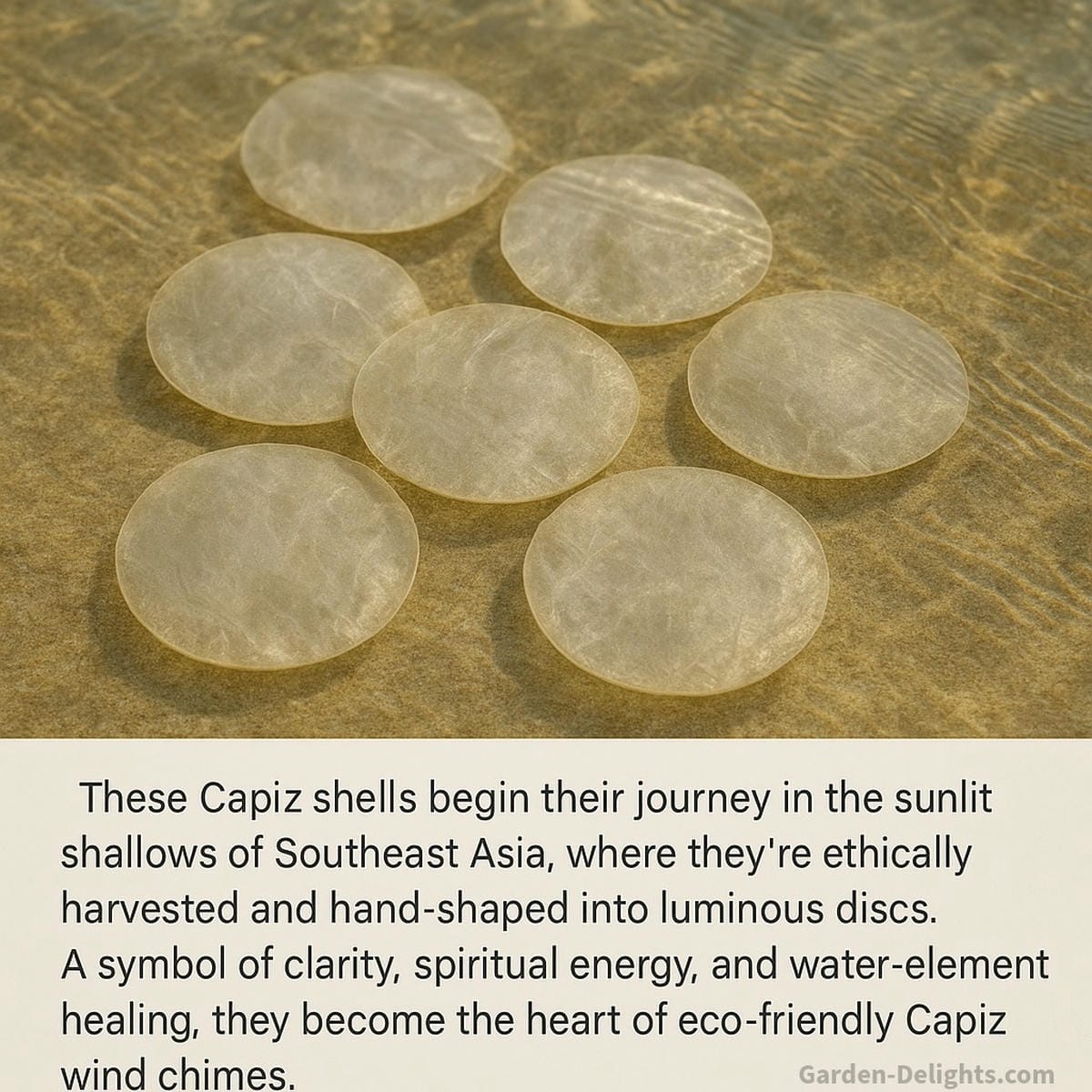 Capiz shells shimmering in the shallow coastal waters of Southeast Asia sunlit beneath the surface before being ethically harvested, dried, and transformed into handmade wind chimes and luminous garden décor