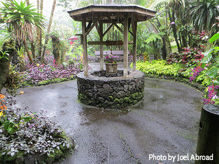 Wishing well in center of garden courtyard with flowers in bucket,Garden wishing Wells kits,yard Wishing well.